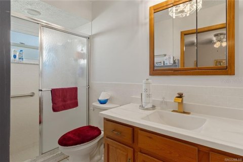 Villa ou maison à vendre à Inverness, Floride: 2 chambres, 116.13 m2 № 2428858 - photo 26