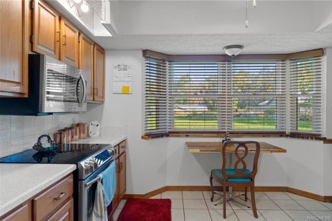 Villa ou maison à vendre à Inverness, Floride: 2 chambres, 116.13 m2 № 2428858 - photo 16
