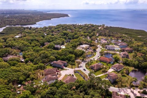 Купить виллу или дом в Тампа, Флорида 3 комнаты, 377.37м2, № 1795758 - фото 4