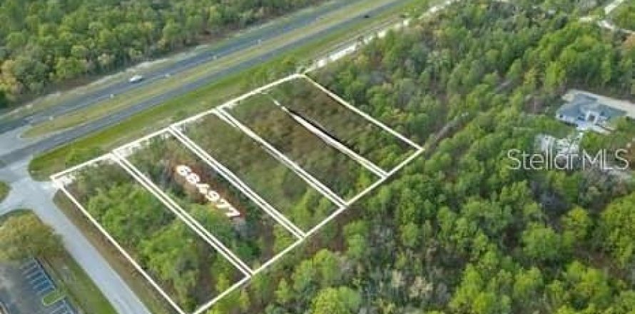 Terrain à Weeki Wachee, Floride № 2236669