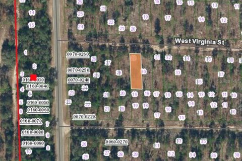Land in Hawthorne, Florida № 2164934 - photo 2