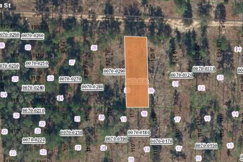 Land in Hawthorne, Florida № 2164934