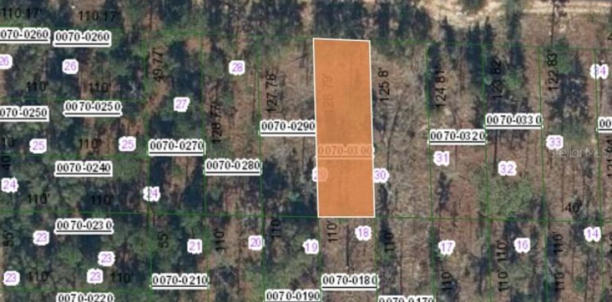 Land in Hawthorne, Florida № 2164934