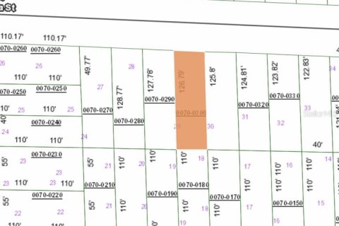 Land in Hawthorne, Florida № 2164934 - photo 3