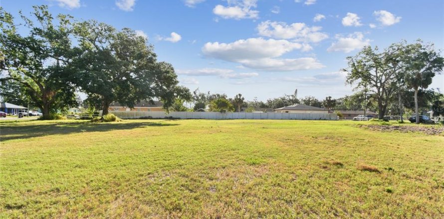 Land in Palmetto, Florida № 1720527