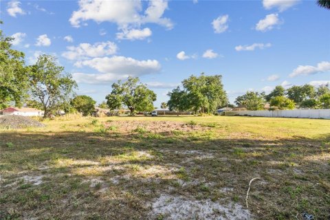 Terreno en venta en Palmetto, Florida № 1720527 - foto 2