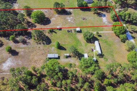 Land in Zephyrhills, Florida № 2102120 - photo 6