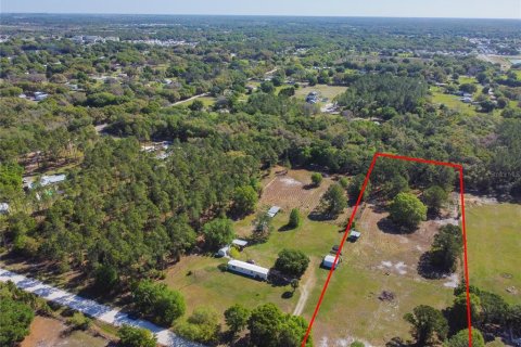 Land in Zephyrhills, Florida № 2102120 - photo 12