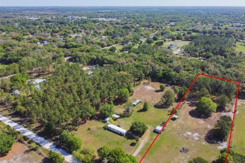 Land in Zephyrhills, Florida № 2102120 - photo 11