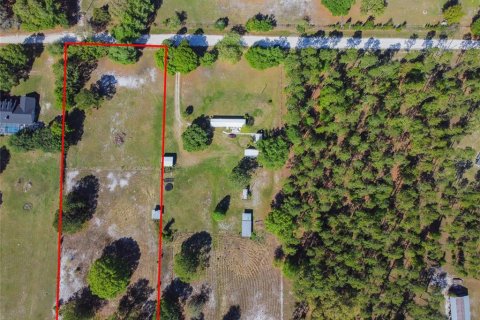 Land in Zephyrhills, Florida № 2102120 - photo 3