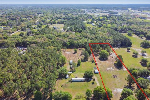 Land in Zephyrhills, Florida № 2102120