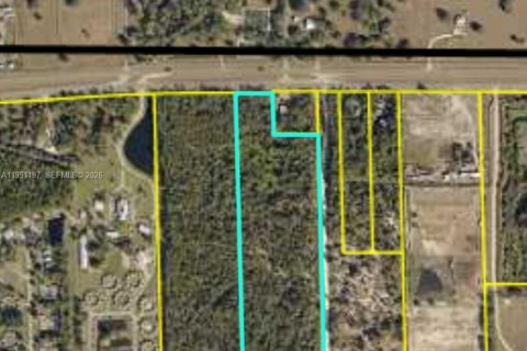 Propiedad comercial en venta en Clewiston, Florida № 2057457 - foto 2