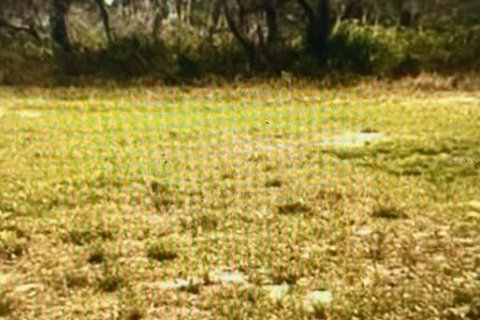 Land in Frostproof, Florida № 2370988