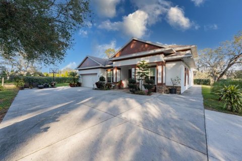 Villa ou maison à vendre à Thonotosassa, Floride: 5 chambres, 352.29 m2 № 2339292 - photo 4