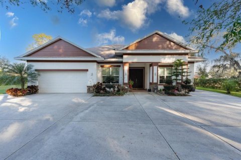 Villa ou maison à vendre à Thonotosassa, Floride: 5 chambres, 352.29 m2 № 2339292 - photo 3