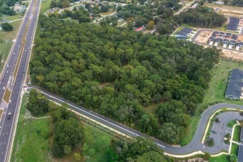 Terreno en venta en Ocala, Florida № 2097918 - foto 9
