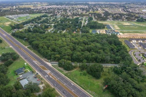 Terreno en venta en Ocala, Florida № 2097918 - foto 6