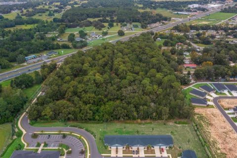 Terreno en venta en Ocala, Florida № 2097918 - foto 5