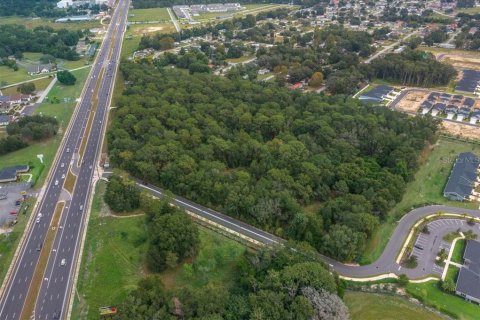 Terreno en venta en Ocala, Florida № 2097918 - foto 8