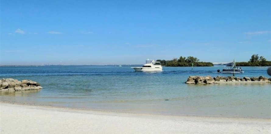 House in Apollo Beach, Florida 4 bedrooms, 235.69 sq.m. № 1673939