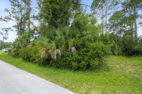 Land in Palm Coast, Florida № 1800338 - photo 7