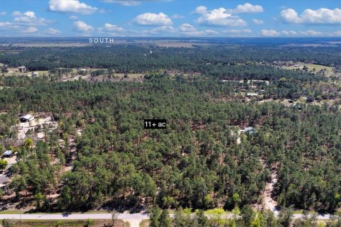Terrain à vendre à Williston, Floride № 2149585 - photo 6