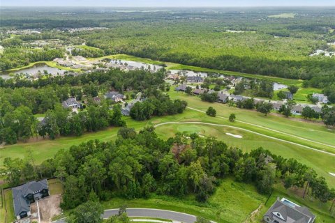 Land in Brooksville, Florida № 2273253 - photo 2
