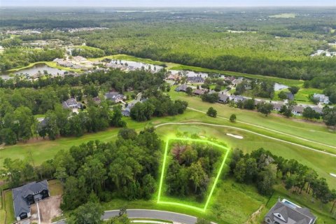 Land in Brooksville, Florida № 2273253 - photo 6