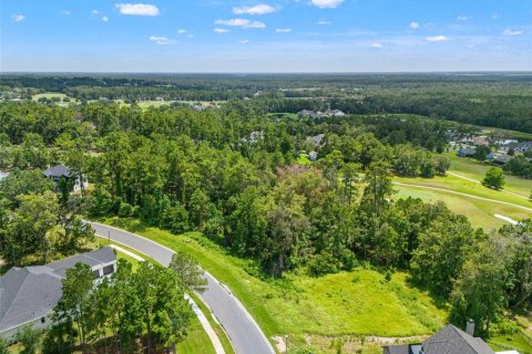 Land in Brooksville, Florida № 2273253 - photo 7