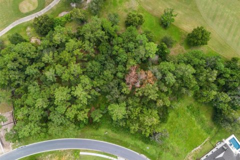 Land in Brooksville, Florida № 2273253 - photo 4