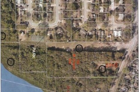 Land in Longwood, Florida № 1675465 - photo 3