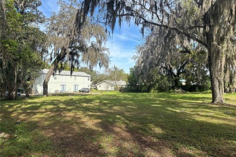 Terreno en venta en Leesburg, Florida № 1687616 - foto 1