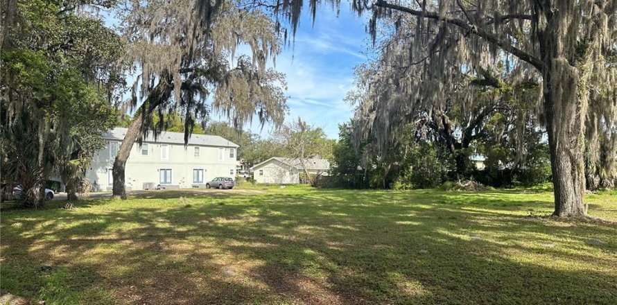 Terreno en Leesburg, Florida № 1687616