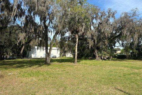 Terreno en venta en Leesburg, Florida № 1687616 - foto 3