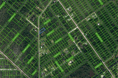 Land in Lake Placid, Florida № 2224066
