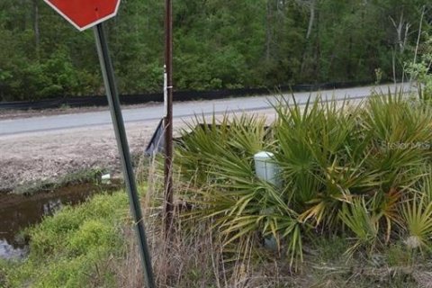 Land in White Springs, Florida № 2113499 - photo 18