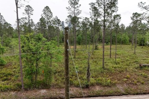 Land in White Springs, Florida № 2113499 - photo 17
