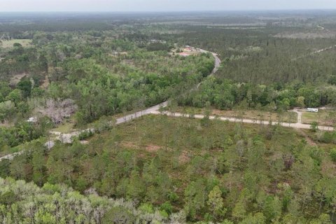 Land in White Springs, Florida № 2113499 - photo 13
