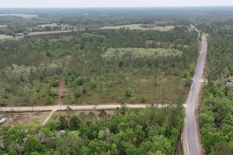 Land in White Springs, Florida № 2113499 - photo 6