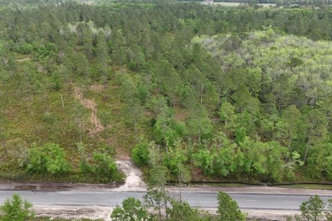 Land in White Springs, Florida № 2113499 - photo 16