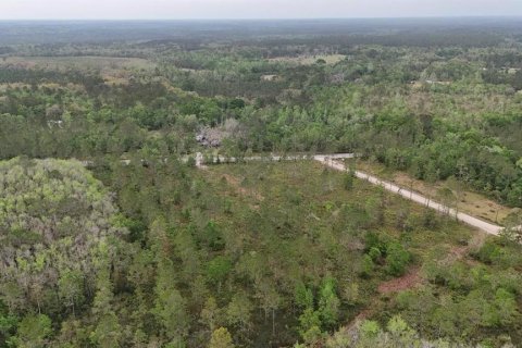 Land in White Springs, Florida № 2113499 - photo 14