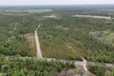 Land in White Springs, Florida № 2113499 - photo 10