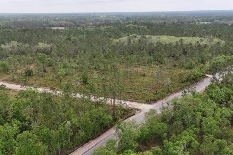 Land in White Springs, Florida № 2113499 - photo 5