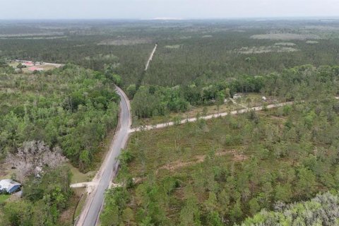Land in White Springs, Florida № 2113499 - photo 12