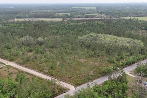 Land in White Springs, Florida № 2113499 - photo 3
