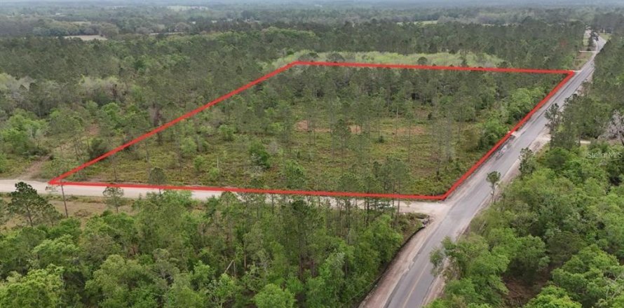 Land in White Springs, Florida № 2113499