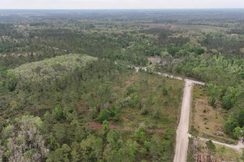 Land in White Springs, Florida № 2113499 - photo 8