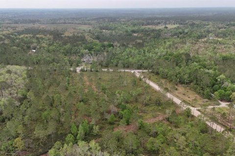 Land in White Springs, Florida № 2113499 - photo 15