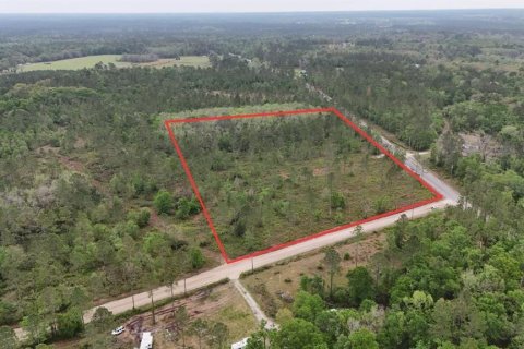 Land in White Springs, Florida № 2113499 - photo 2
