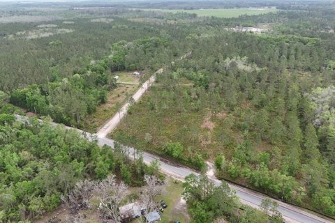 Land in White Springs, Florida № 2113499 - photo 11